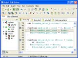 DzSoft PHP Editor �������